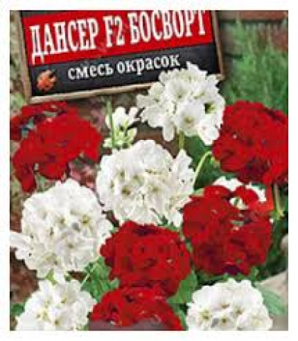 Пеларгония зональная "Дансер F2 Босворт" смесь