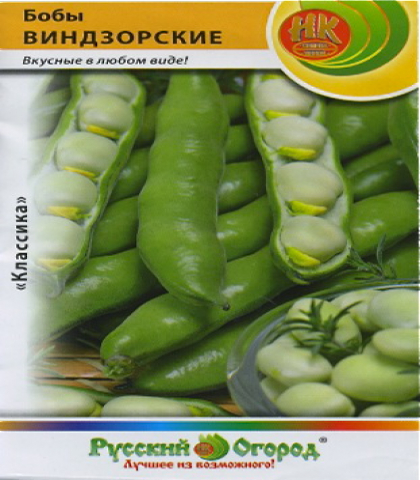 БОБЫ ВИНДЗОРСКИЕ