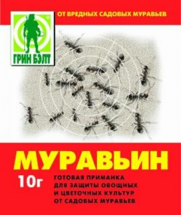 Муравьин