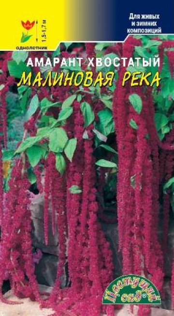 Амарант хвостатый Малиновая река
