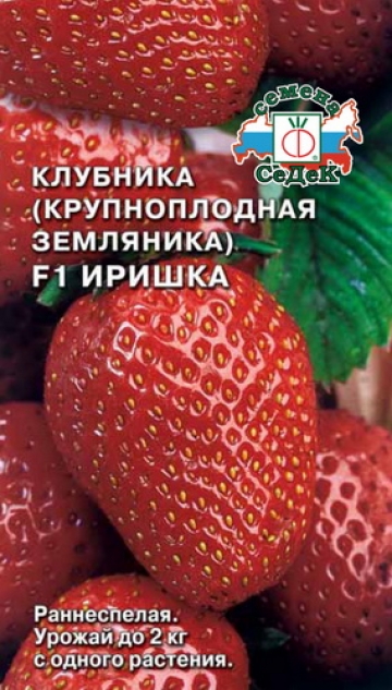 Земляника Иришка