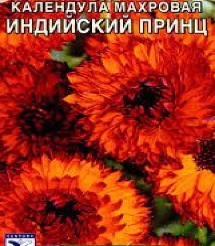 Календула махровая Индийский принц