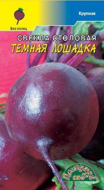 Свекла столовая Тёмная лошадка