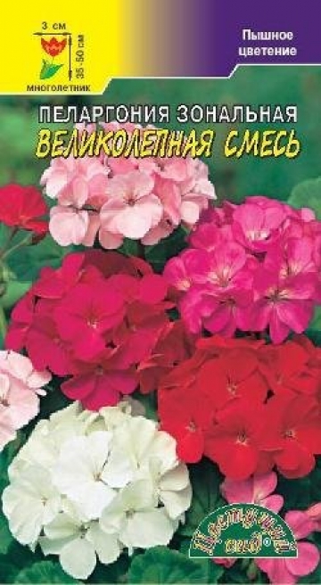 Пеларгония Великолепная СМЕСЬ