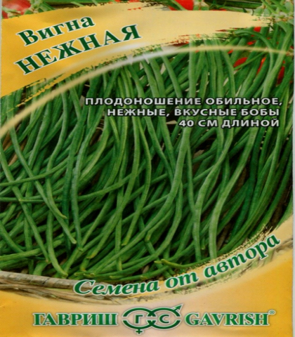 Вигна Нежная