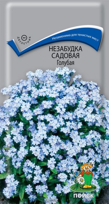 Незабудка садовая Голубая