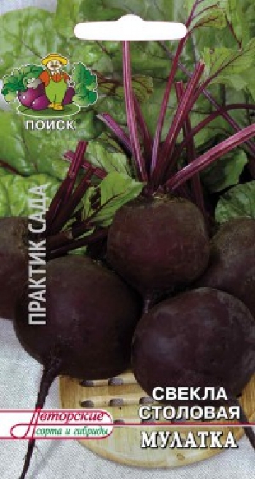 свекла Мулатка