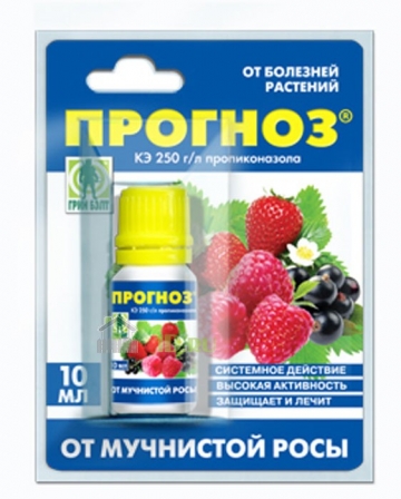 Прогноз