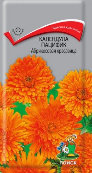 календула пацифик Абрикосовая красавица