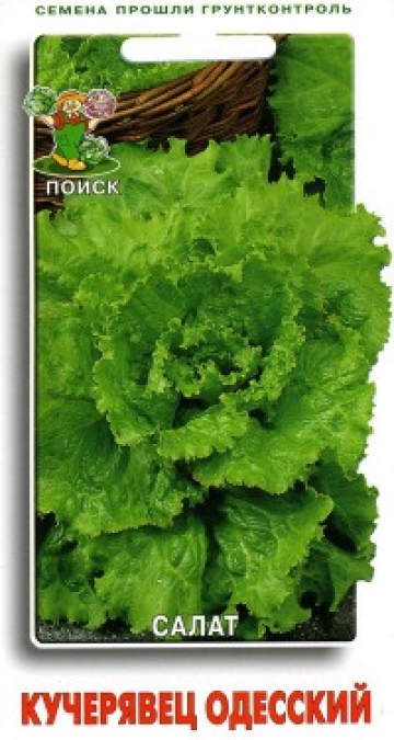 салат Кучерявец Одесский