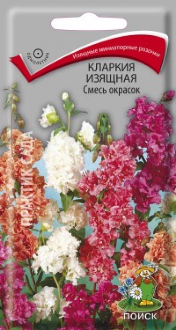 кларкия изящная Смесь окрасок