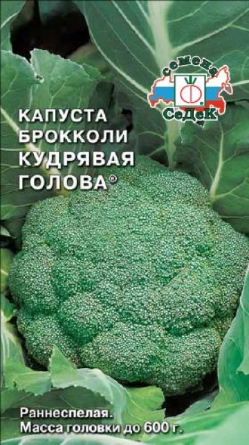 Капуста Кудрявая голова