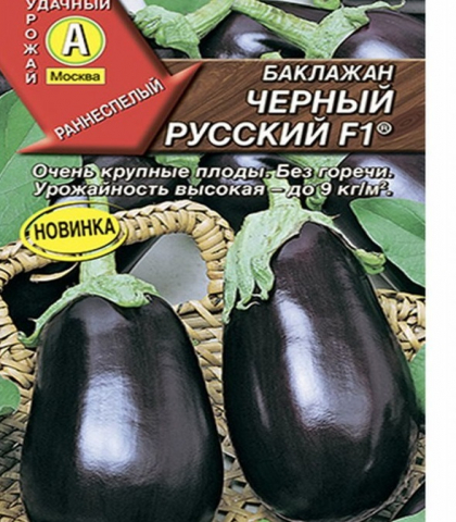 баклажан Черный русский F1