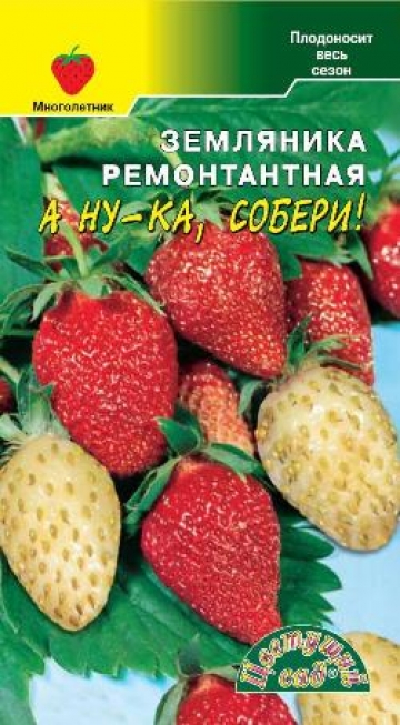 земляника А ну-ка собери !
