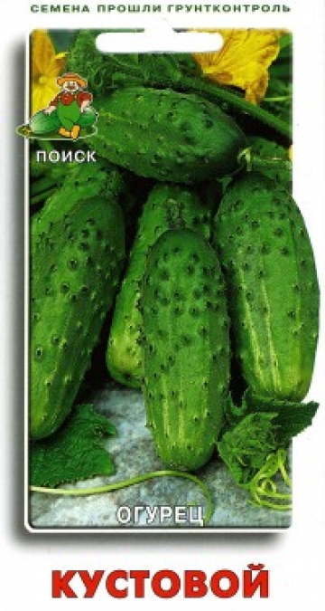 огурец Кустовой