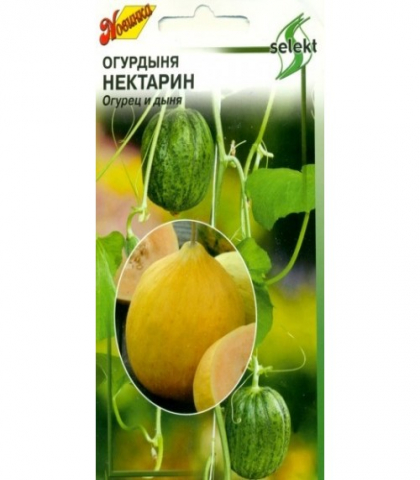 Огурдыня Нектарин (мандурия)
