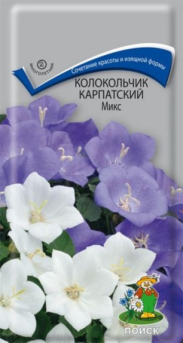 Колокольчик карпатский Микс