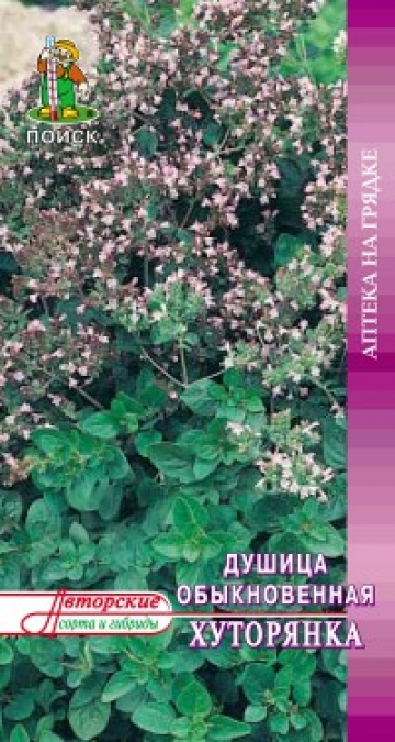 душица Хуторянка