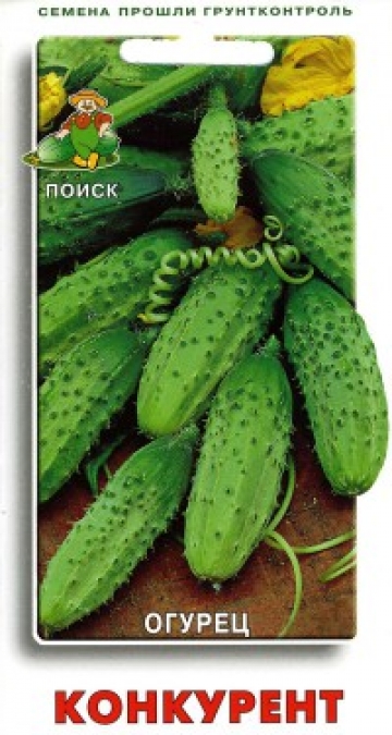 огурец Конкурент
