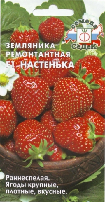 Земляника Настенька F1