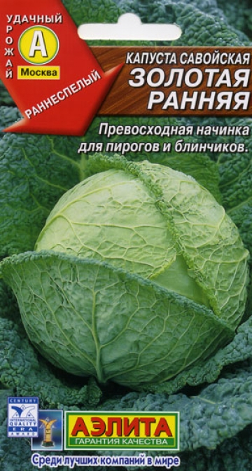 Сорт капусты савойской: Золотая ранняя