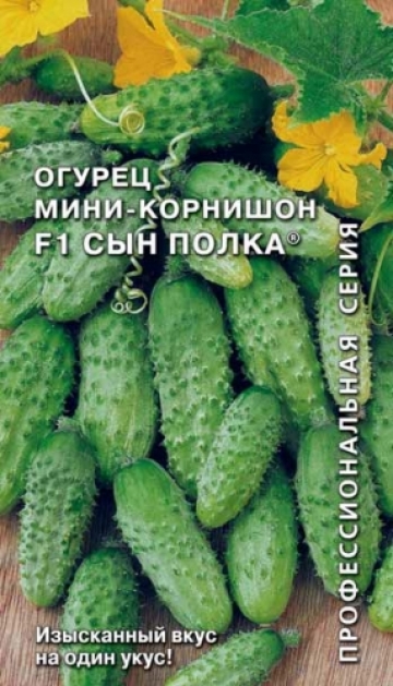 огурец Сын полка F1