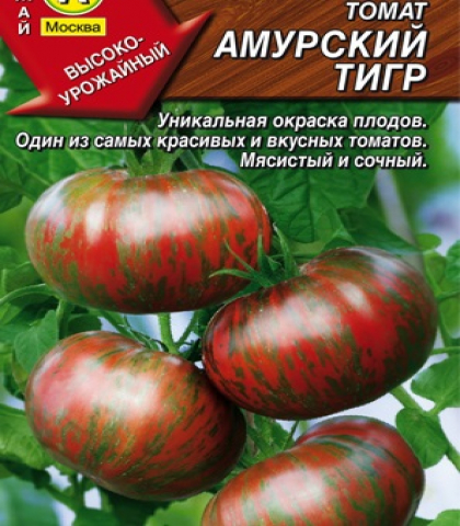 Томат Амурский тигр