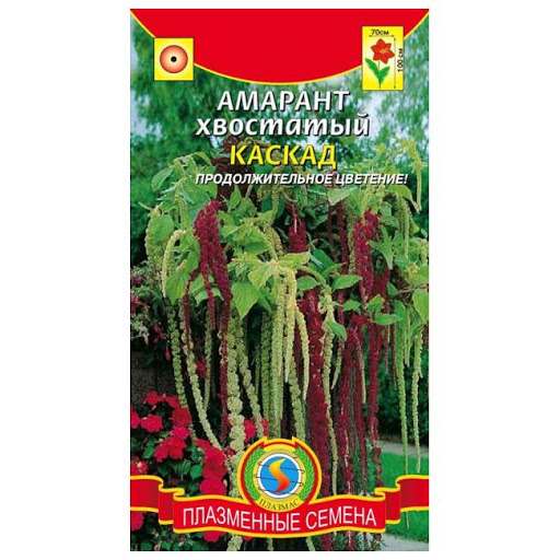 Плазменные Семена Магазины