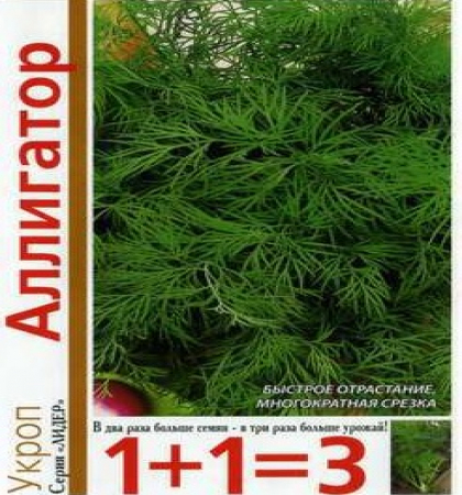 укроп Аллигатор 1+1