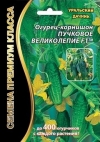 ОГУРЕЦ ПУЧКОВОЕ ВЕЛИКОЛЕПИЕ F1