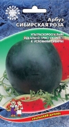Арбуз Сибирская Роза
