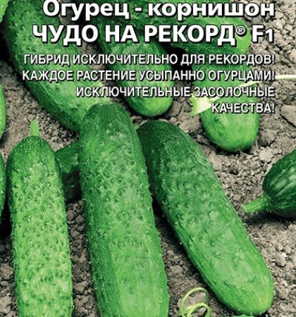 ОГУРЕЦ ЧУДО НА РЕКОРД F1