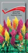 Целозия перистая Лиллипут микс