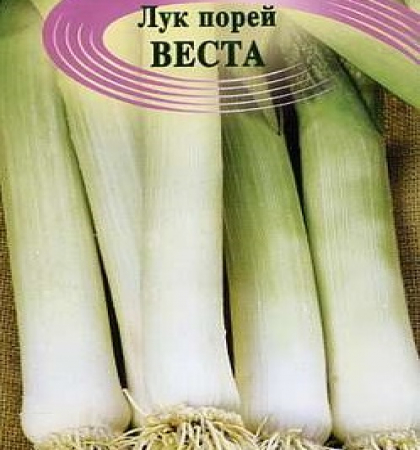 лук порей Веста