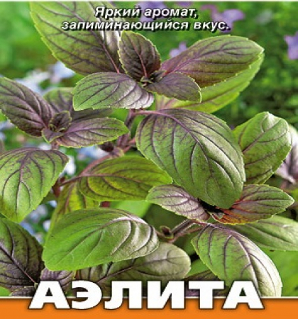 Базилик Корица