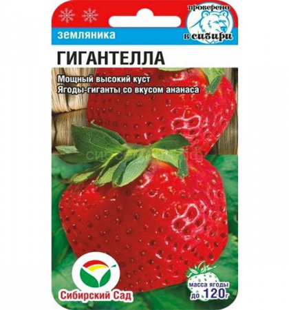 ЗЕМЛЯНИКА КРУПНОПЛОДНАЯ ГИГАНТЕЛЛА