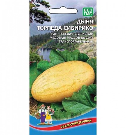 ДЫНЯ ТОРПЕДА СИБИРИКО