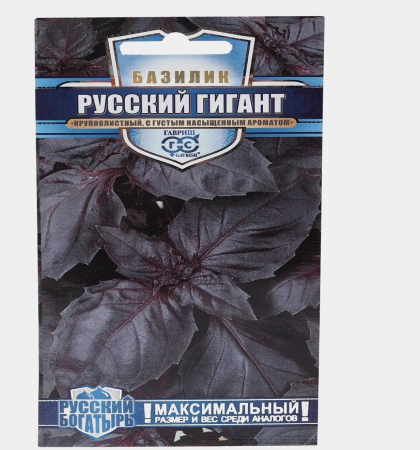 Базилик Русский Размер