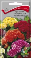 Целозия гребенчатая Коралловый сад