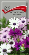 остеоспермум Смесь окрасок
