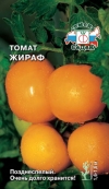 томат Жираф